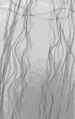 famous_day04-invert